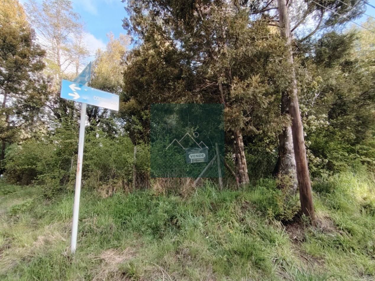 TERRENO EN VENTA EN VILLA LA ANGOSTURA