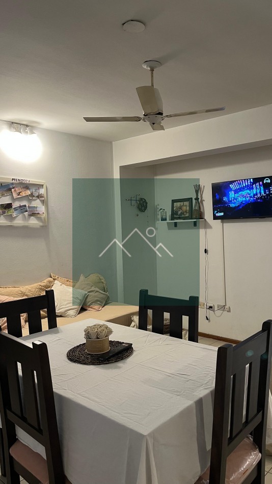 DEPARTAMENTO MENDOZA CAPITAL