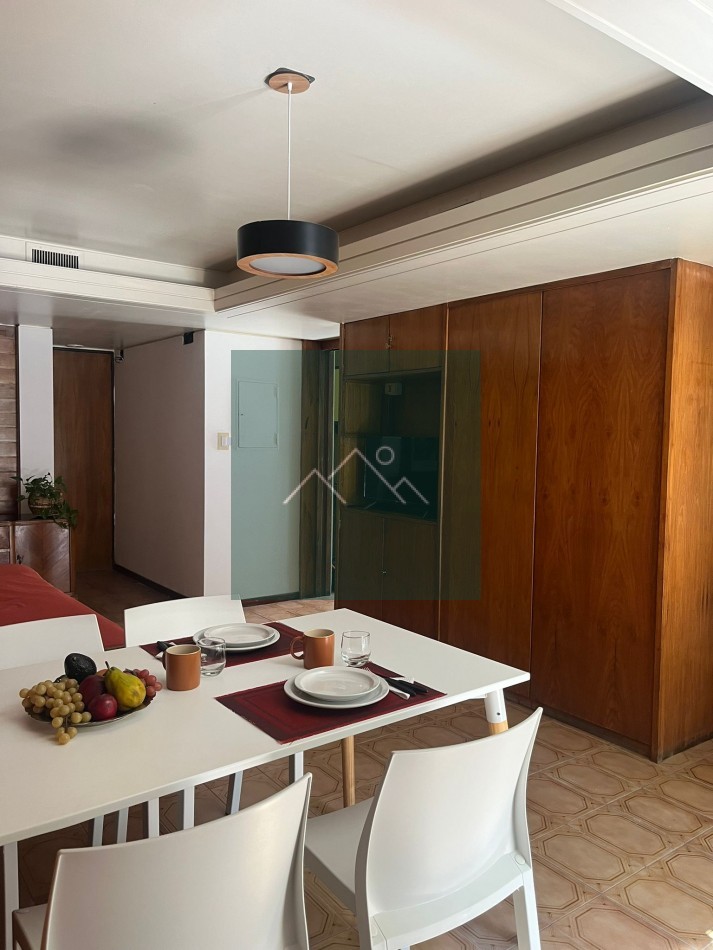 DEPARTAMENTO EN MENDOZA ALQUILER TURISTICO