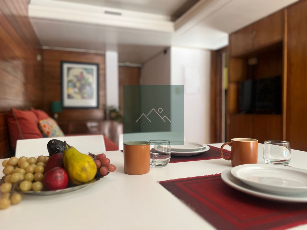 DEPARTAMENTO EN MENDOZA ALQUILER TURISTICO